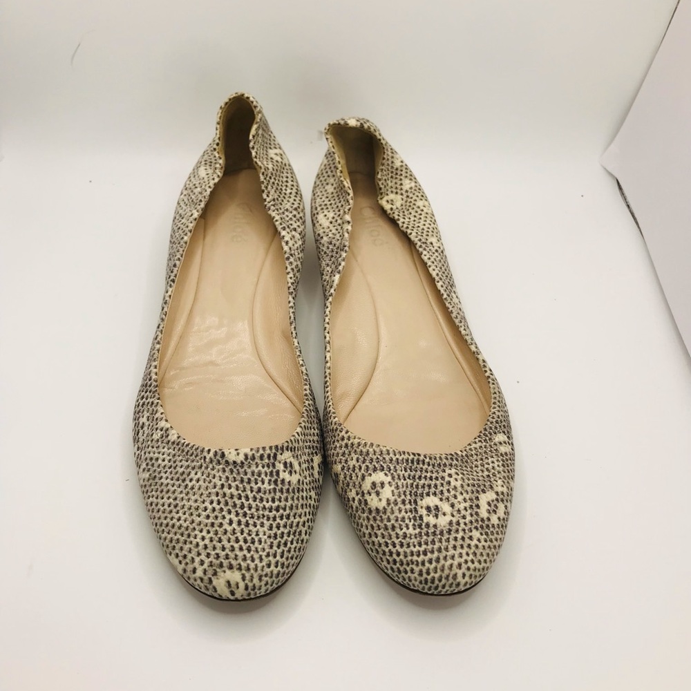 Chloe Beige Snake-Print Ballet Flats - Picture 6 of 9